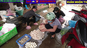 phiên chợ quê  Tết rằm tháng 7 âm lịch  phong vân lục ngạn Bắc Giang