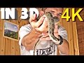 3D Video EXTREME 4K (Scary Snake!)