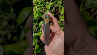 Discontinued and I still love it. ❤️#edc #edcknife #sharp #blade #budget #fun #folder #pocketknife