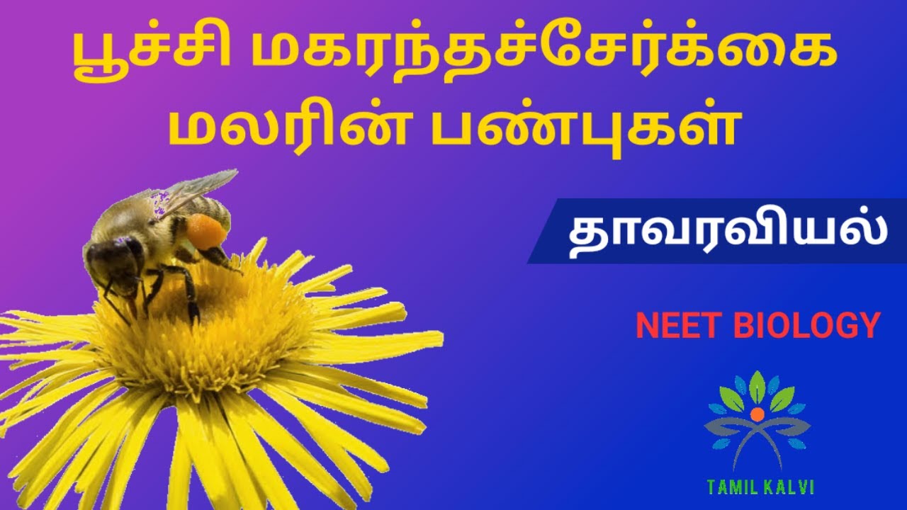 Entomophily Characteristic features of entomophilous flowers NEET