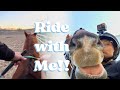 First ride outside on rolo  horse lesson vlog