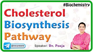 Cholesterol Biosynthesis Pathway - Biochemistry