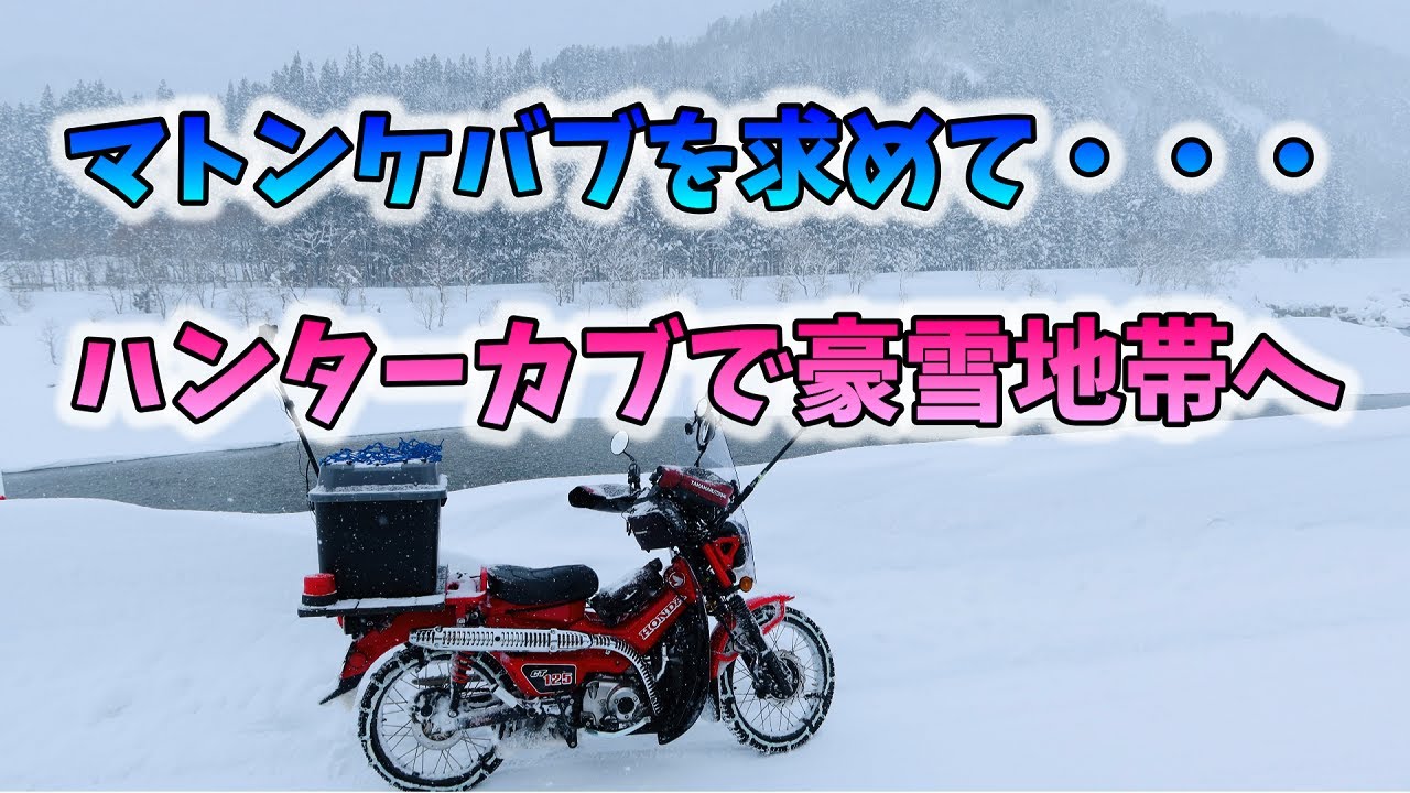 雪の日のざくろ 公式】サプリメントset ｜ シロノサクラ。 – シロノサクラ