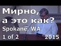 Иоганнес Раймер, Мирно, а это как? 1 из 2.