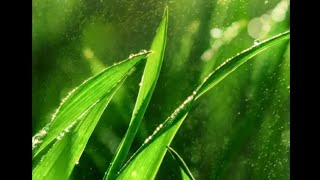 how to set the wallpaper 2021 realme 3 Pro me wallpaper kaise set karen screenshot 3