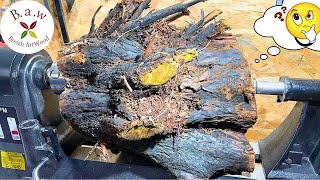 Woodturning : In this half burnt cedar log lies a treasure😳