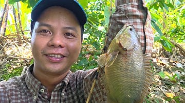 Tập 163 - Khu Này Cá Thấy Ham, Chinh Phục Cá Rô Khủng Sao Bao Ngày Chờ Đợi | Câu Cá Rô Đồng