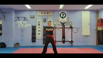 Basic exercises with butterfly swords
