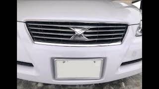 マークX ナンバーフレーム（フロント）デラックス 08407-00272 トヨタ純正