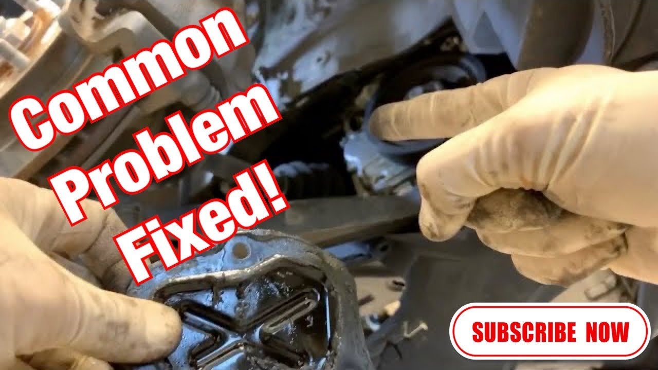 2015 Honda Civic Si K24Z7 Oil Leak Fixed! YouTube