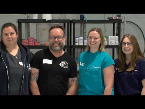 VIDEO: Emergency vet clinic being held at Grandview Arena