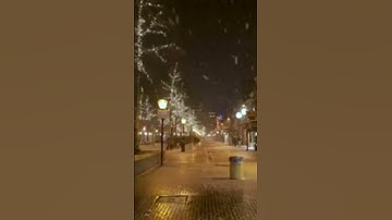 سورة النمل #اكسبلور #لايك #تلاوة_مرتلة