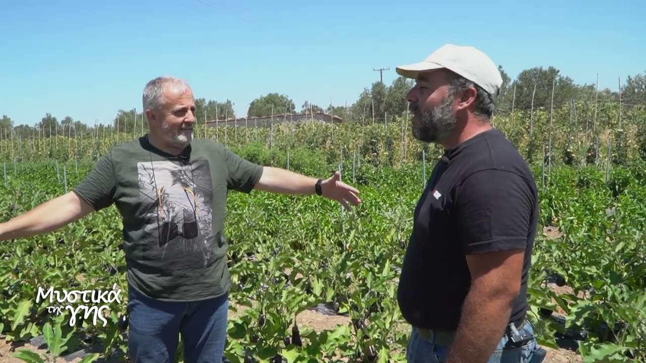 ΜΥΣΤΙΚΑ ΤΗΣ ΓΗΣ ΕΠ05 | ΜΕΛΙΤΖΑΝΑ