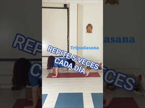 Repite esta secuencis de Yoga 5 veces seguidas para ganar fuerza muscular💪🏻 #yoga #yogalife #fuerza