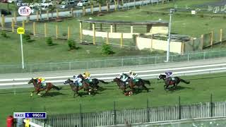 Hippisme : Suivez en direct la 5e course de la 13ème journée de course au Champ de Mars.
