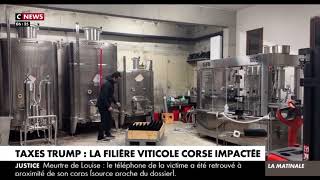 Taxes Trump La Filière Viticole Corse Impactée