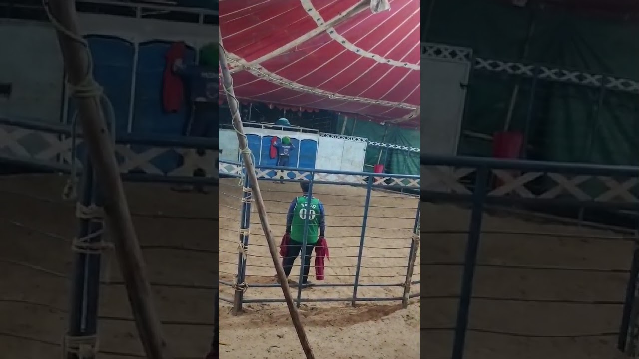 Tourada em 2 mara f.b