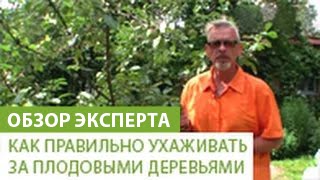 Как правильно ухаживать за плодовыми деревьями(В этом видео наш эксперт расскажет Вам о том, как правильно ухаживать за плодовыми деревьями. Если вы хотите..., 2014-07-21T08:09:07.000Z)