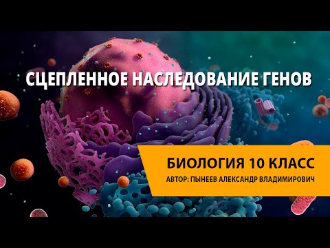 Сцепленное наследование генов