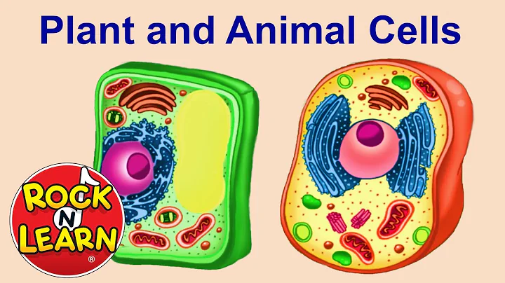 Plant and Animal Cells for Kids