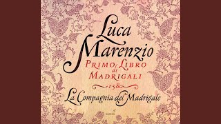 Madrigals for 5 voices, Book 1: Dolorosi martir, fieri tormenti