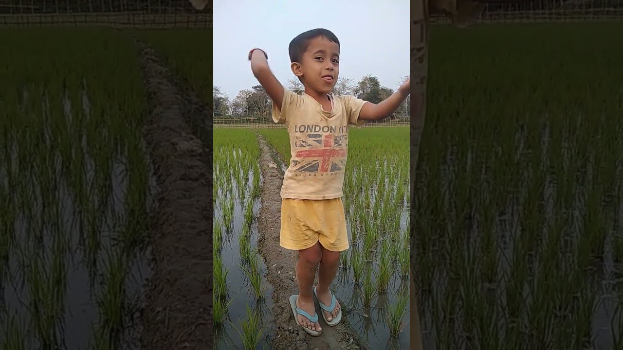 katu bora dhanore thuk dipawndita deka