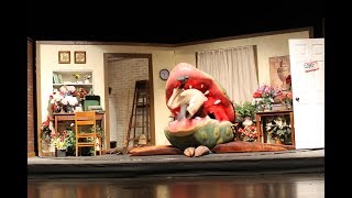 Suppertime - Little Shop Of Horrors - Belleville West 2017