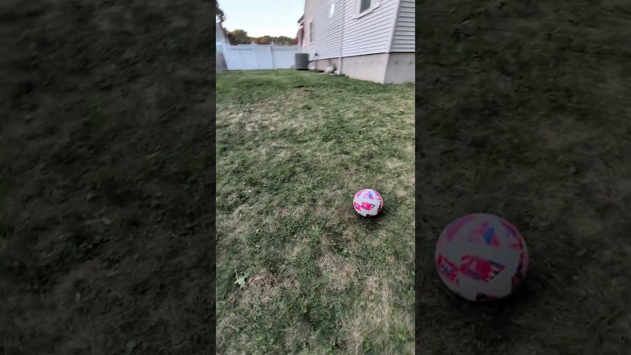 Backyard Goals Part 1