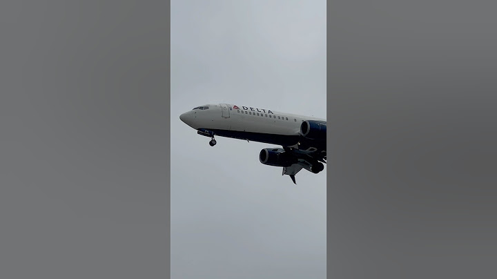 Delta Air Lines Boeing 737-800 from Seattle to Los Angeles, 6/14/2024 #delta #N366DA