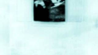 Edison Woods Shirts For Pennies