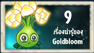 9 เรื่องน่ารู้เกี่ยวกับ Gold Bloom | Plants vs Zombie 2