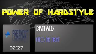Devin Wild - Into The Night