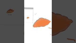 Btw this is the drawing process ngl why does it look so yummy
