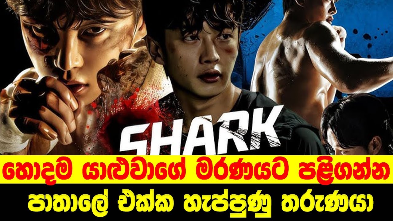 හොදම යාළුවාගේ මරණයට පළිගන්න පාතාලේ එක්ක හැප්පුණු තරුණයා | Sinhala Movie Review