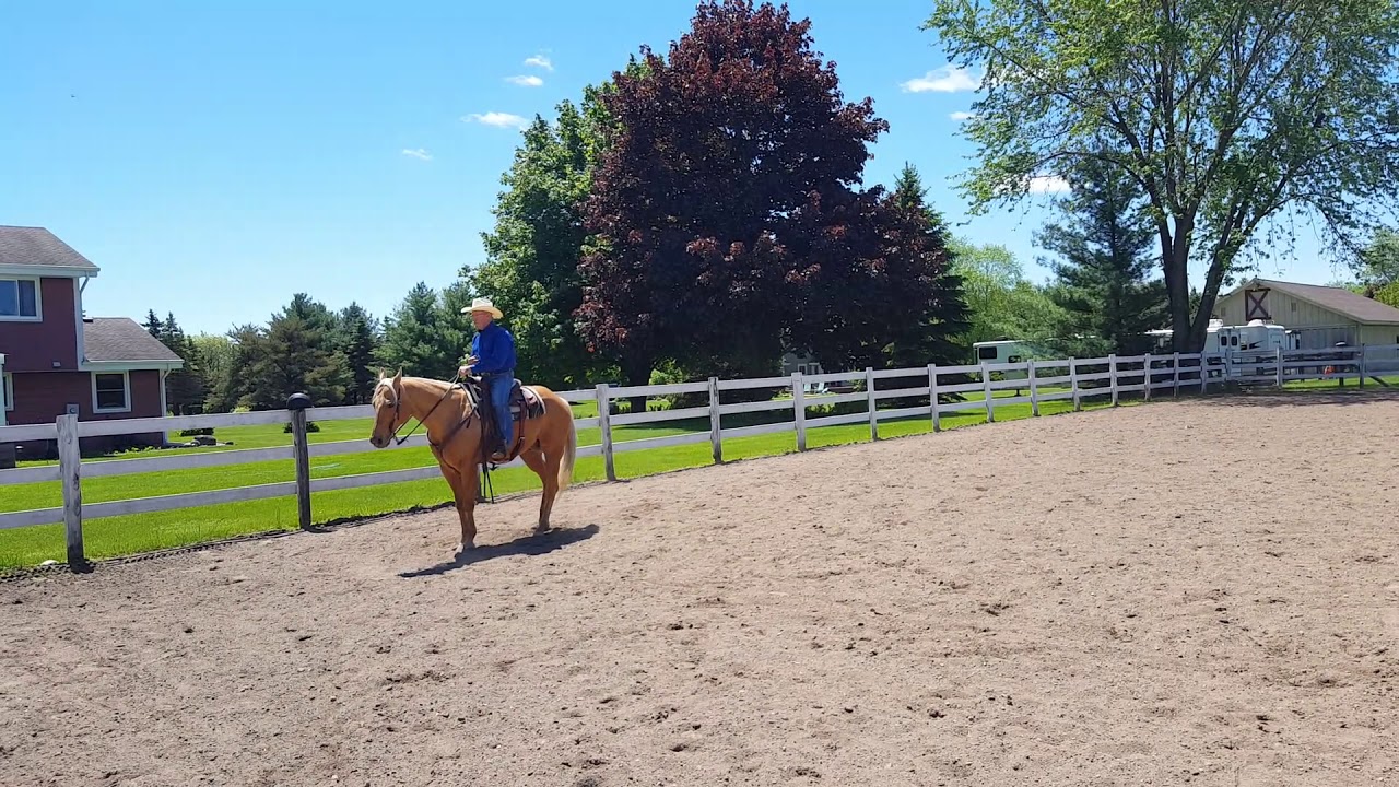 Class #48 Sr Sr Ranch Riding Mark Rutkowski and Docs Golden Assets