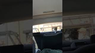 Menards loading up plywood