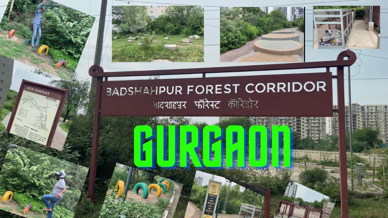 Badshahpur Forest Corridor Gurgaon🌳उजाड़ जमीन को बदला पार्क में😳 Jogging Track🏃‍♂️Cycling🚴‍♂️