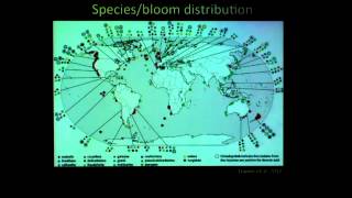 Holly Bowers presents: Diversity of Pseudo-nitzschia in Monterey Bay