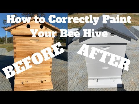 What Color Should You Paint A Beehive