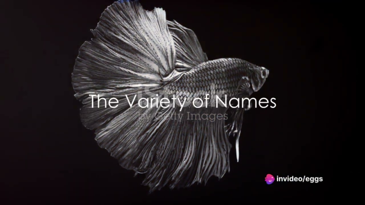 origin names bettas