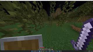 Java-runtime-gamma 2024.06.08 - 15.06.32.02.DVR.mp4