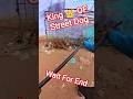 Gojo Davangere Dog Catching Fail 💯😱#ytshorts #dogwithpublicsafety #dog #amazing #pets