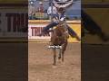 #STOPHORSEABUSE #horse #equestrianjourney #horseenthusiast #equestrian #horsetrack #horsefan