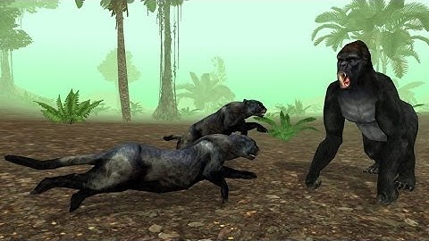 Wild Panther Sim 3D Android Gameplay