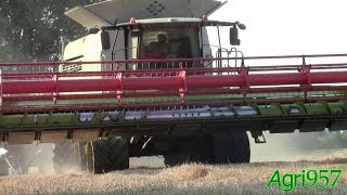 CLAAS LEXION 770 TerraTrac: WHEAT HARVEST in ITALY 2015