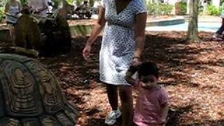 MVI_4131.AVI