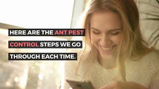 Does Pest Control Get Rid Of Ants