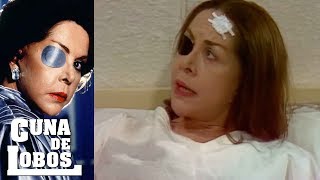 José Carlos Descubre Que Su Madrastra Nunca Perdió El Ojo Cuna De Lobos Tlnovelas