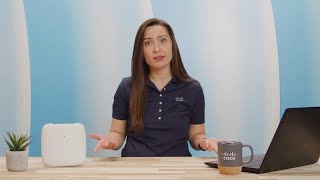 Understanding IP Addresses on Cisco Business Wireless Primary APs