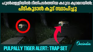 കടവയ കടകകൻ വനവകപപ സജജ Tiger Hunt On Cages And Live Cameras Set